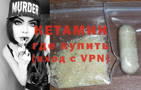 шишки Дмитриев