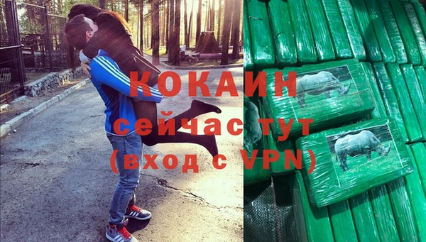 шишки Дмитриев
