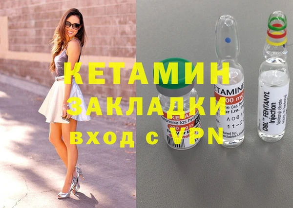 шишки Дмитриев