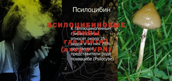 ALPHA-PVP Дмитров