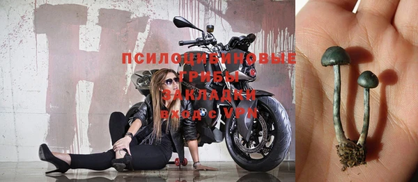 синтетический гашиш Елизово