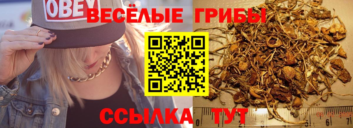Галлюциногенные грибы мухоморы  Вход с VPN  Заринск 